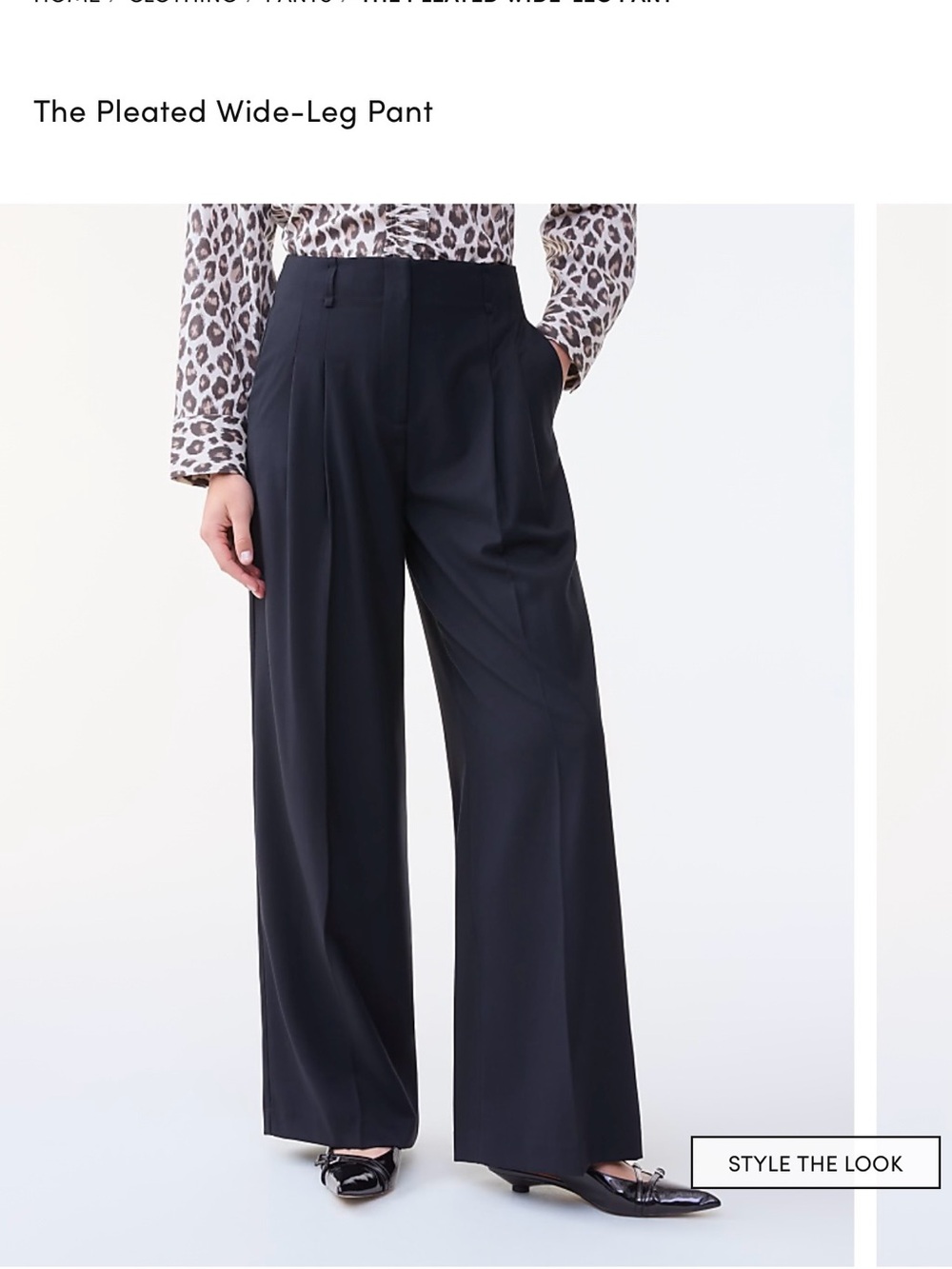 Ann Taylor Pleated Wide-Leg Pants — Black